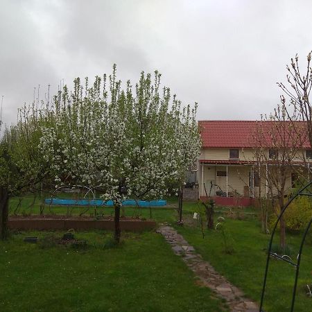 Garden House Bed & Breakfast Almaty Luaran gambar
